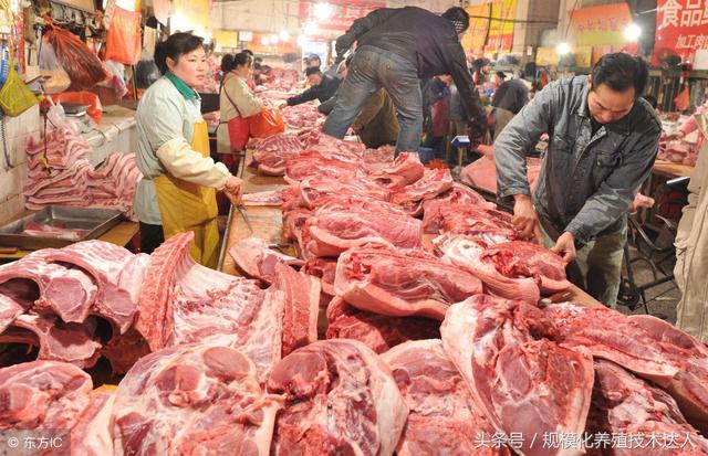 科技助力猪肉价格跟踪，智能监控，洞悉未来市场动态