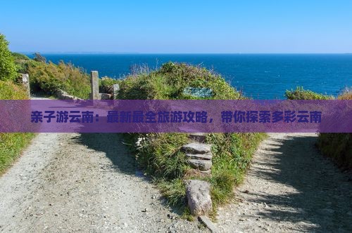 云南旅游最新攻略,云南旅游最新攻略，自信之旅，探索变化中的美景与成就感