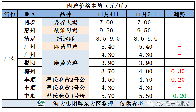 广东鸡价最新行情，心灵与自然的旅行交响曲
