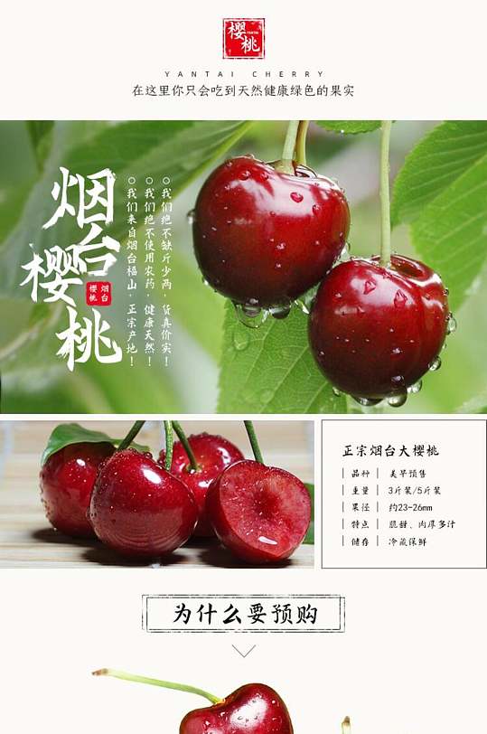 烟台最新大樱桃品种探析